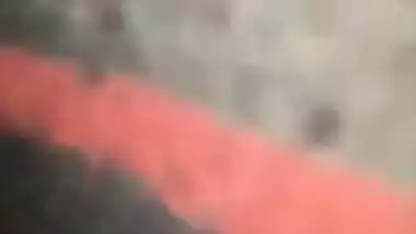 Desi Bhabhi with hairy pussy has quick sex in the missionary XXX pose