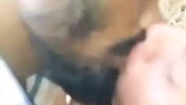Desi XXX girl gets her hairy pussy fucked in forest MMS
