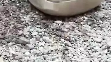 Indian Village Bhabhi Bathing And Showing Her Tight Pussy And Big Nipple